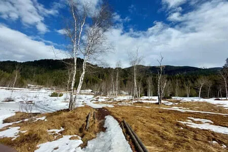 Wasenmoorrunde Pass Thurn PVÖ Og. Going 12.3.25 Bild 24