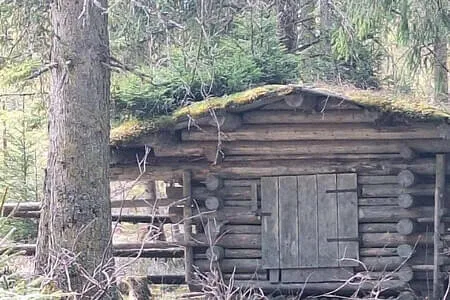 Wasenmoorrunde Pass Thurn PVÖ Og. Going 12.3.25 Bild 6