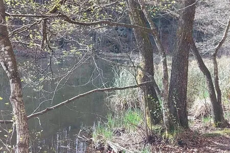 Wanderung Längs-Hechtsee OG. Going 15.4.25 Bild 14