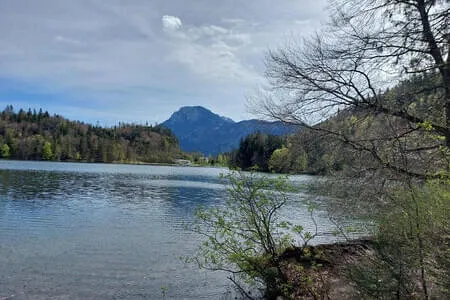 Wanderung Längs-Hechtsee OG. Going 15.4.25 Bild 7